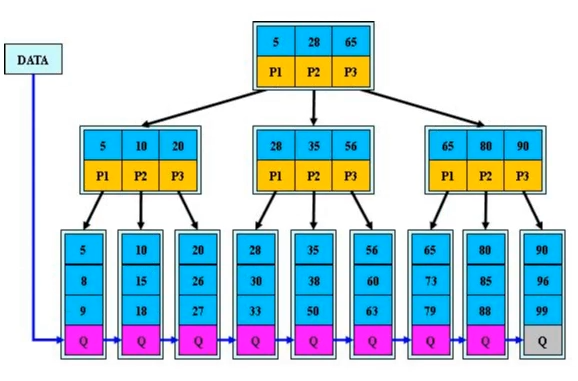 image-20221125202502341