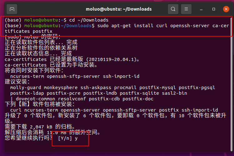 image-20210328090616252